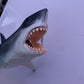 Great White Shark Anatomy Model 33cm