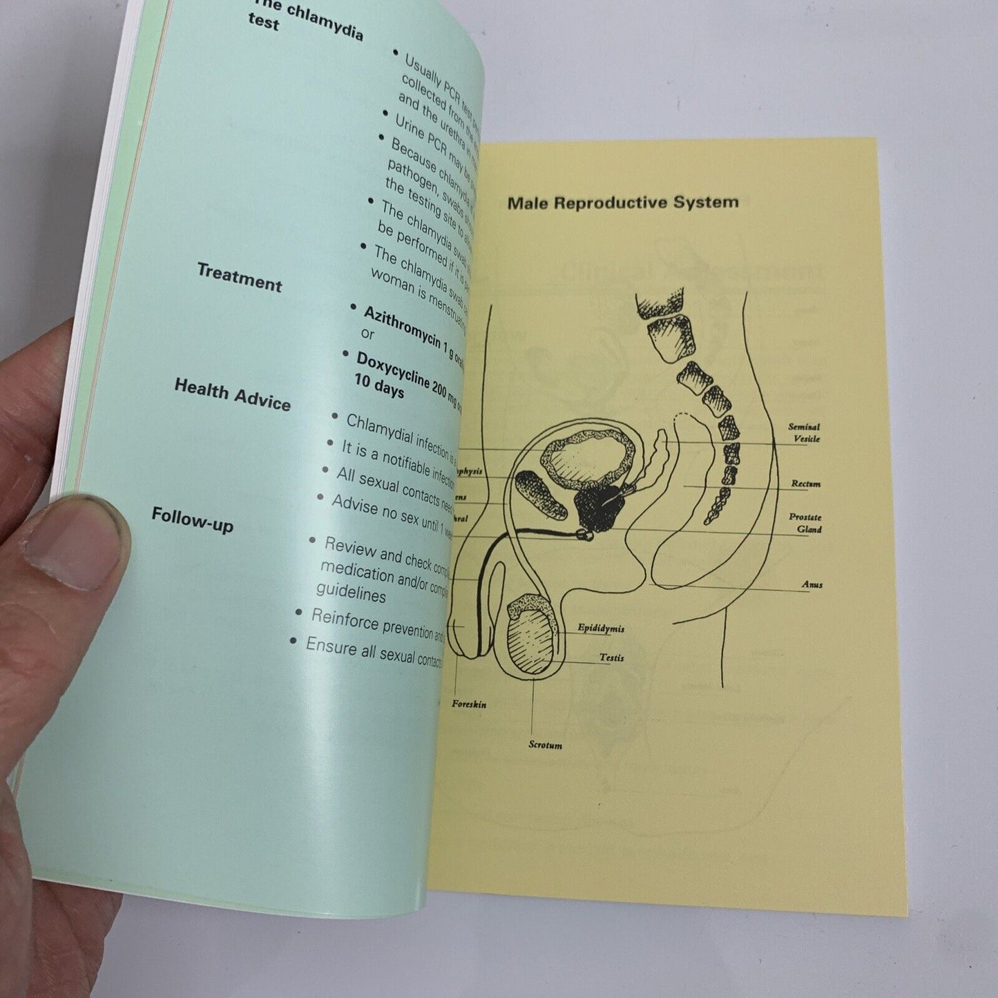 Diagnosis And Management of STDs Including HIV Infection 2000 Fifth Edition