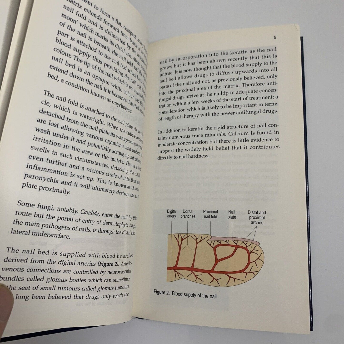 Fungal Nail Infection Pocket Picture Guide by D T Roberts, E G V Evans, B Allen