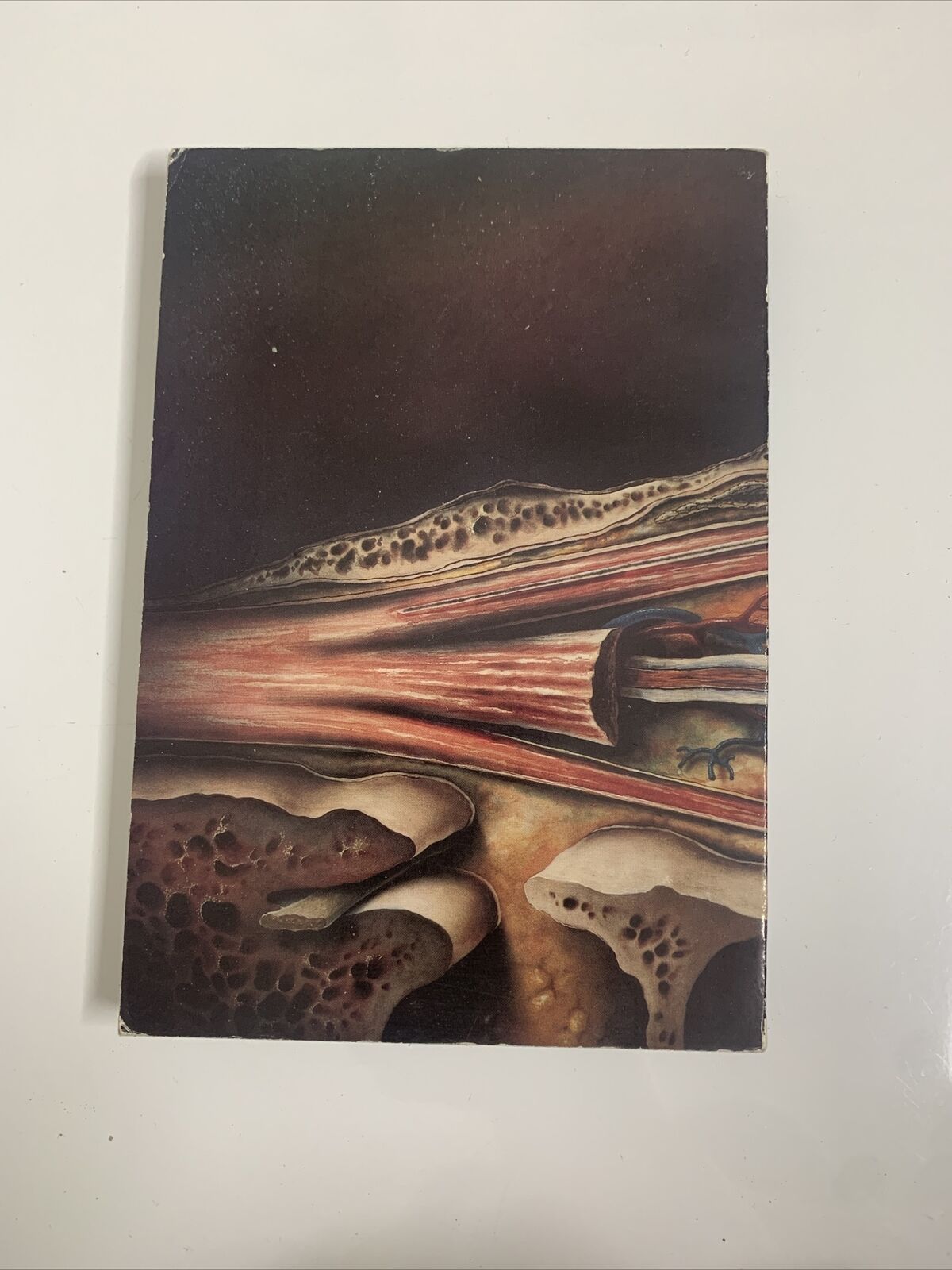 Handbook Of External Diseases of the Eye by George M Bohigian