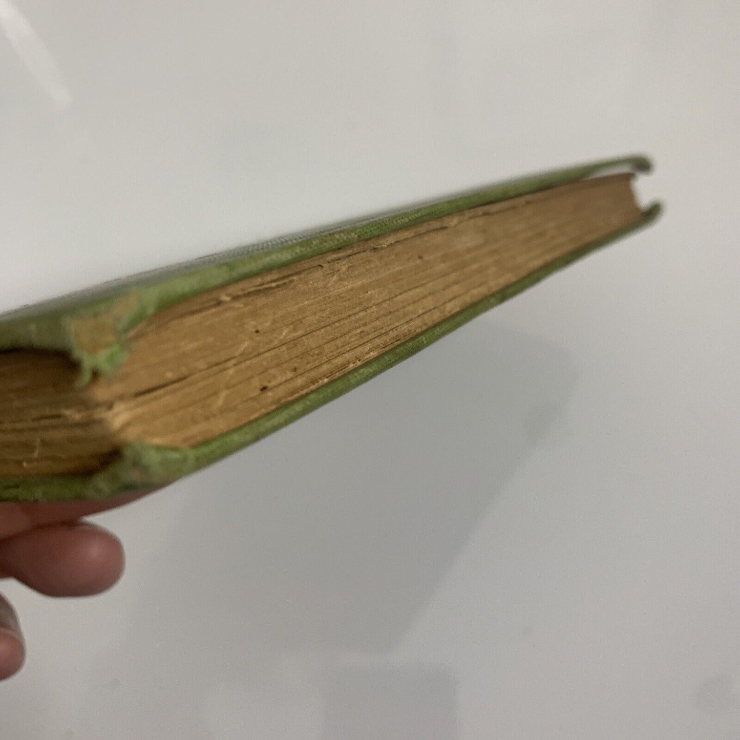 Cold Meat and How To Disguise It by M E Rattray 1904