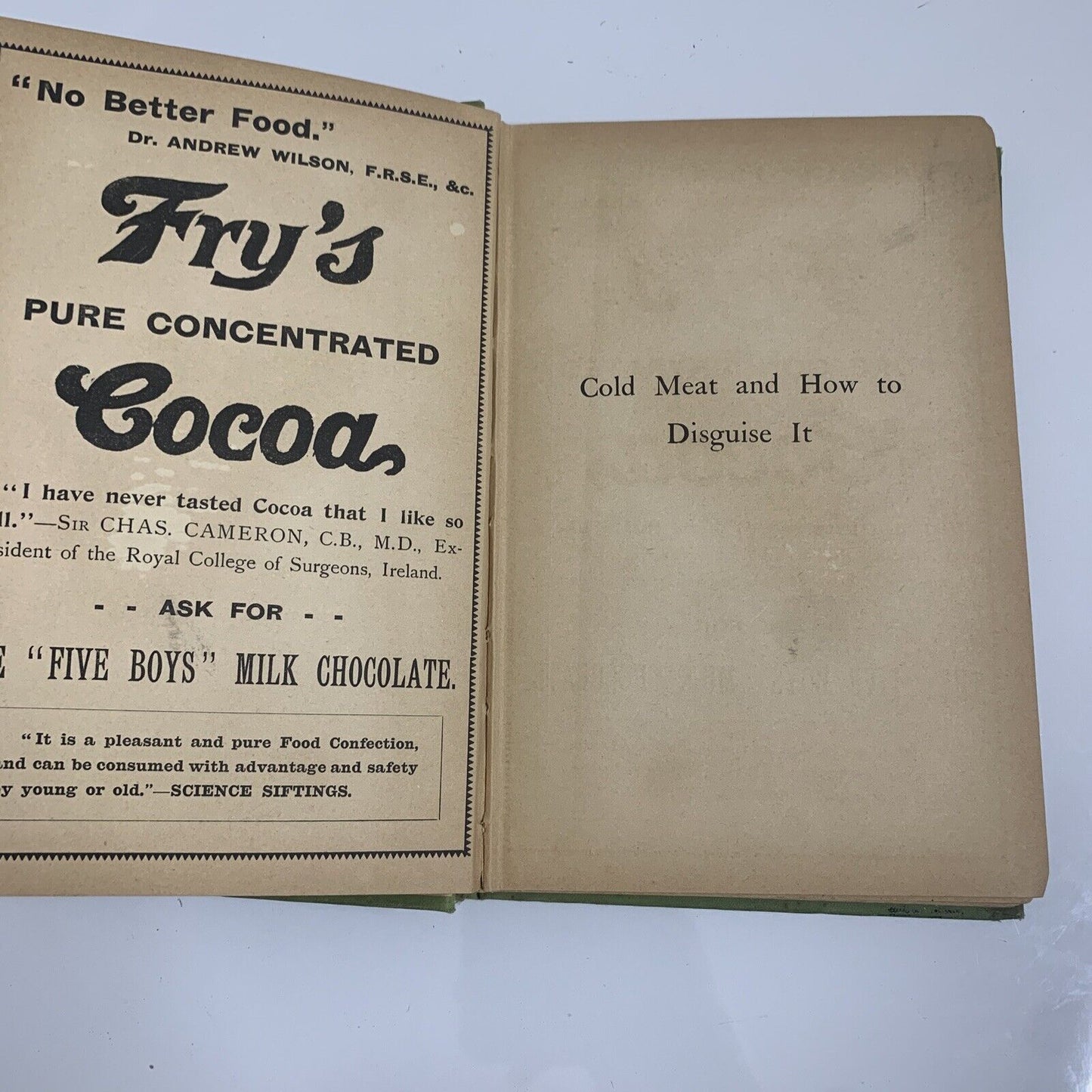 Cold Meat and How To Disguise It by M E Rattray 1904