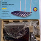 TP-Link Archer C20 AC750 Dual-Band Wireless Router