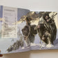The Art of Total War by Creative Assembly SEGA High-end Art and Design Book HC