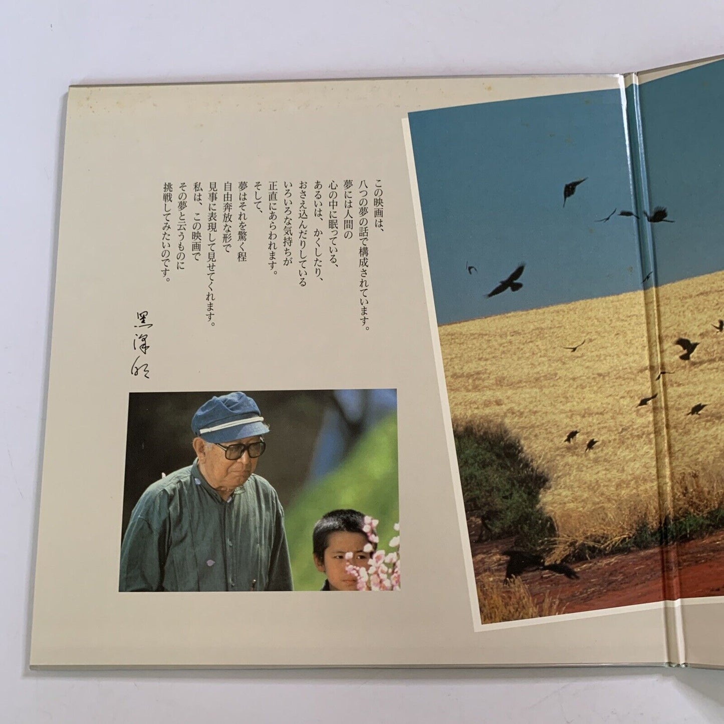 Dreams by Akira Kurosawa (Laserdisc LD, 1990)  Gatefold NTSC Japanese 2-Disc
