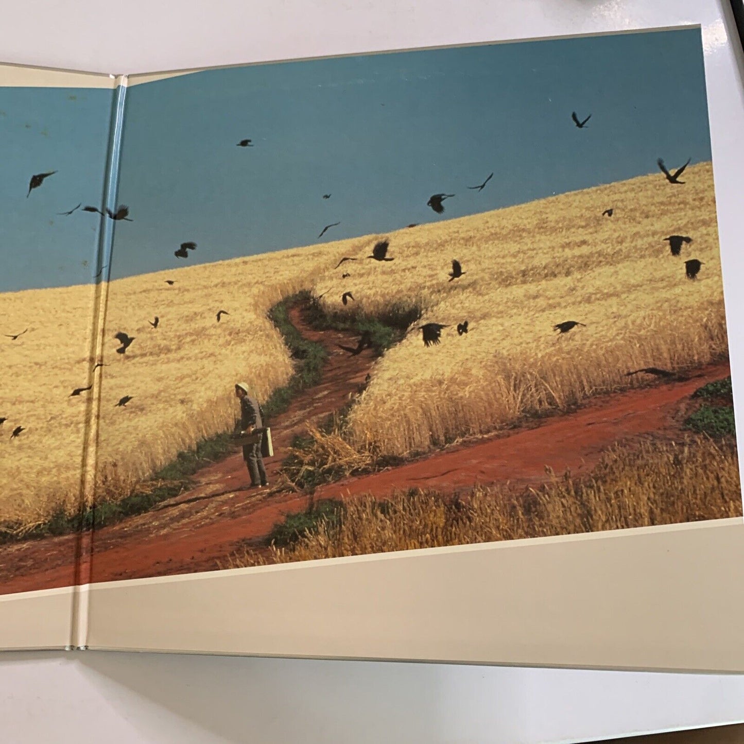 Dreams by Akira Kurosawa (Laserdisc LD, 1990)  Gatefold NTSC Japanese 2-Disc