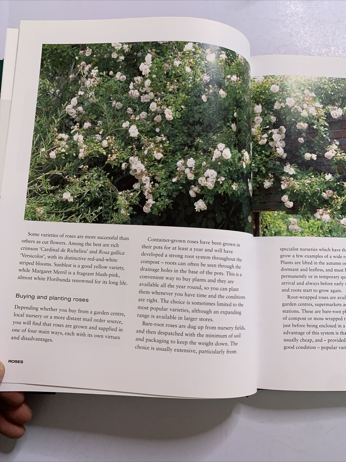 Gardening with the Experts by Phil McCann, Rachel De Thame (Hardcover, 2003) BBC