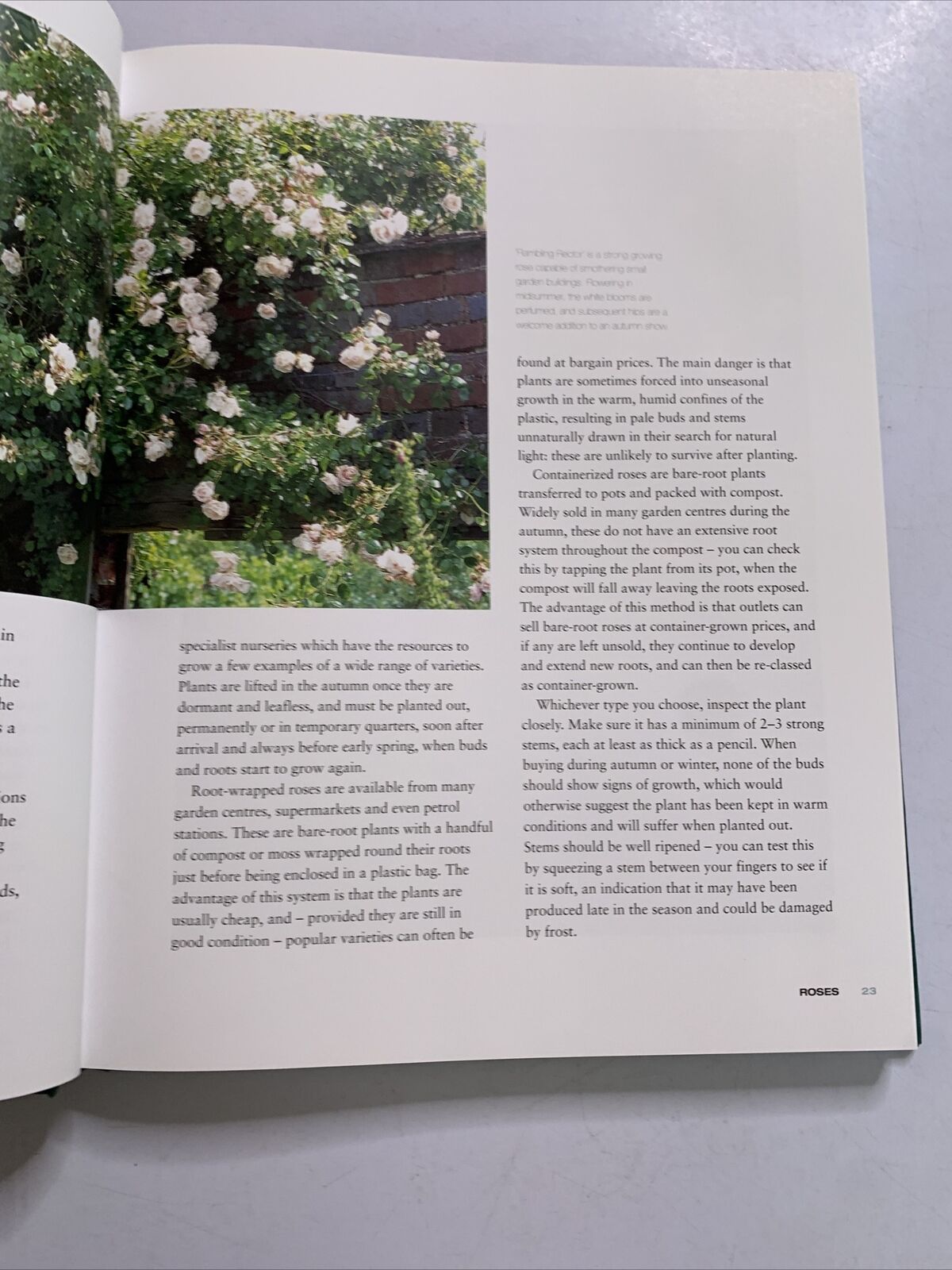 Gardening with the Experts by Phil McCann, Rachel De Thame (Hardcover, 2003) BBC