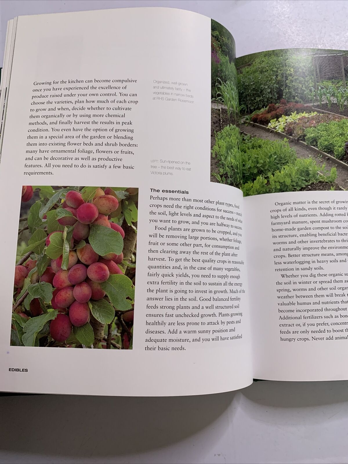 Gardening with the Experts by Phil McCann, Rachel De Thame (Hardcover, 2003) BBC