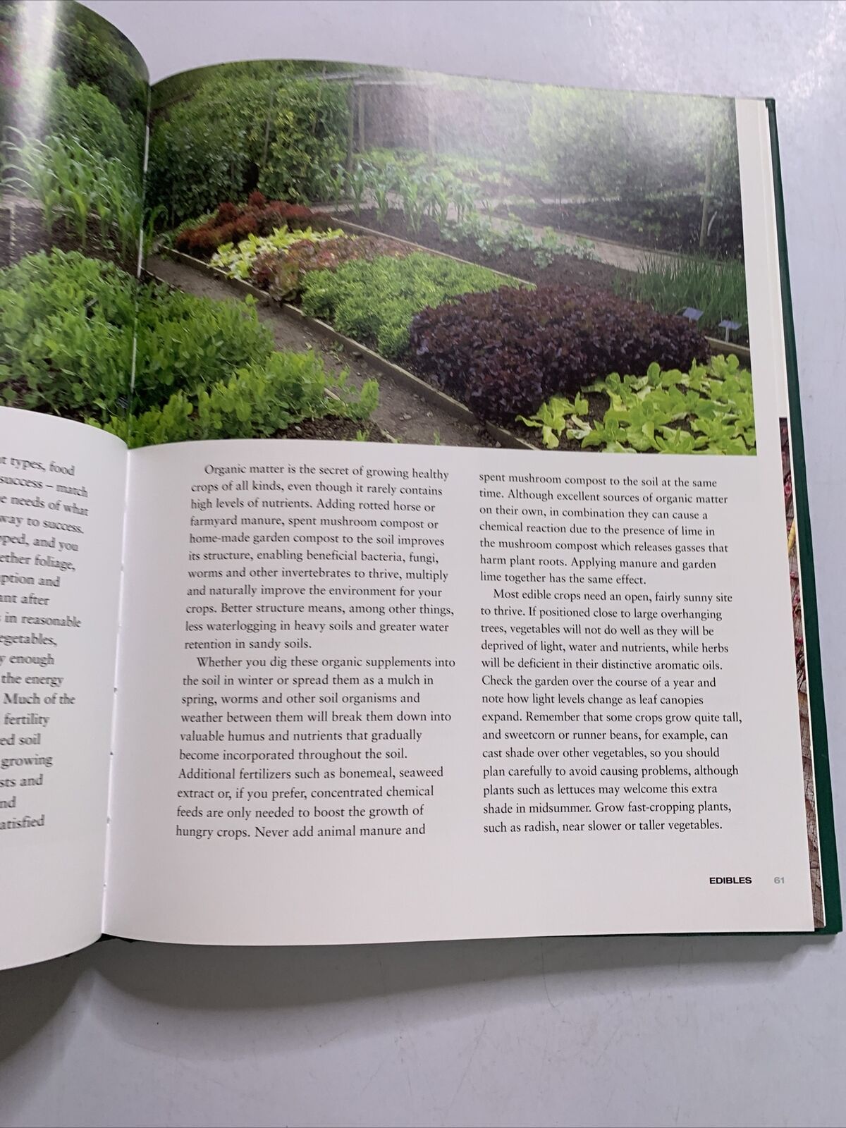 Gardening with the Experts by Phil McCann, Rachel De Thame (Hardcover, 2003) BBC