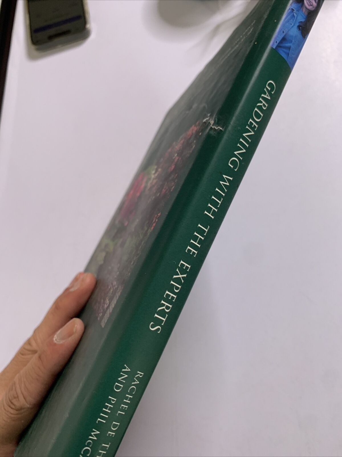 Gardening with the Experts by Phil McCann, Rachel De Thame (Hardcover, 2003) BBC