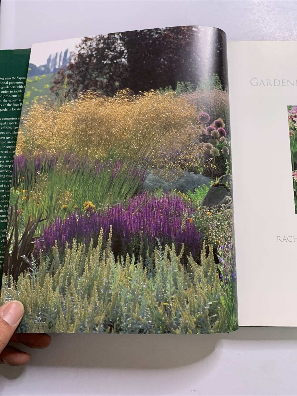 Gardening with the Experts by Phil McCann, Rachel De Thame (Hardcover, 2003) BBC