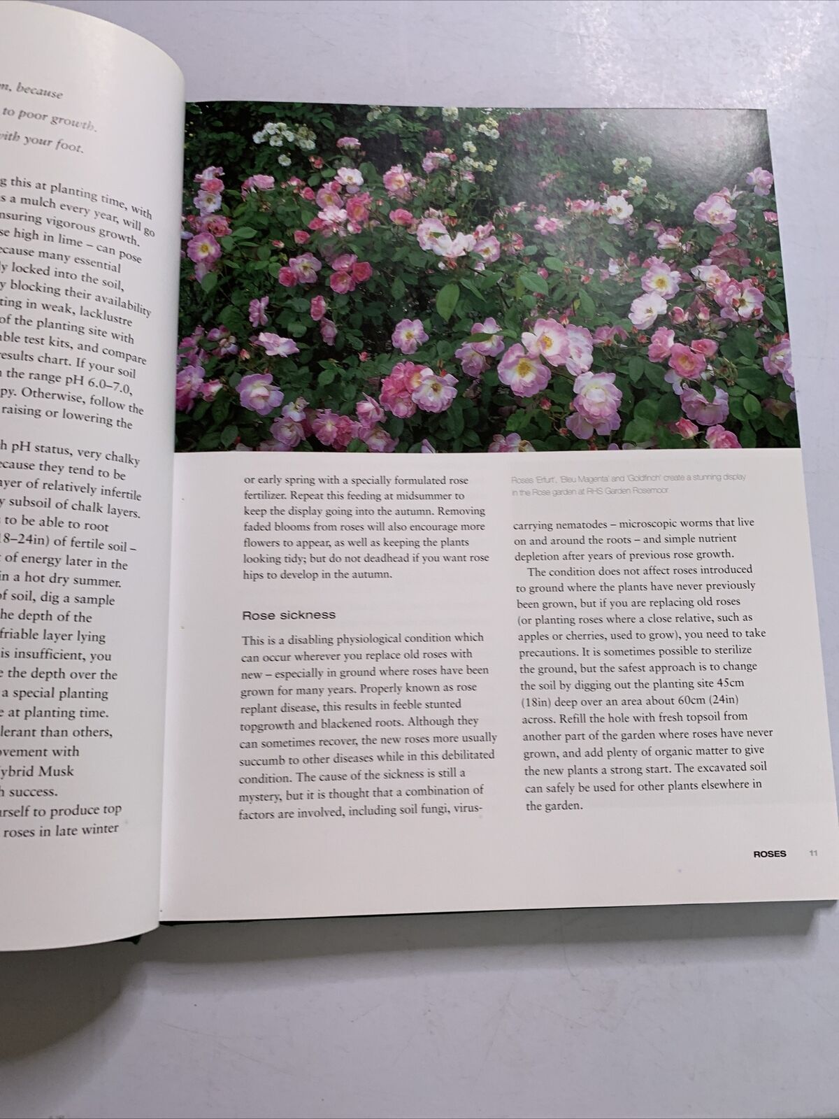 Gardening with the Experts by Phil McCann, Rachel De Thame (Hardcover, 2003) BBC